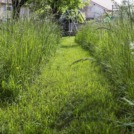 Au Coins Des Jardins * Pareid